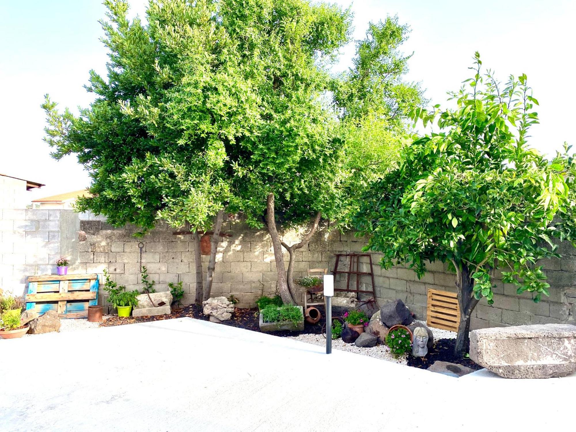 Casa Mora Διαμέρισμα San Vero Milis Εξωτερικό φωτογραφία